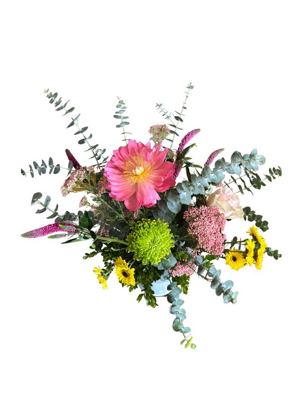 Spring Collection